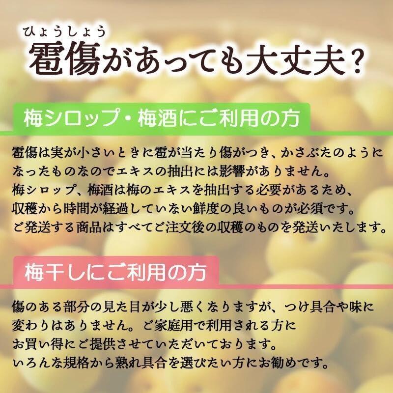 南高梅 生梅 完熟梅 青梅 訳あり サイズ混合 M~3L おまかせ 和歌山県
