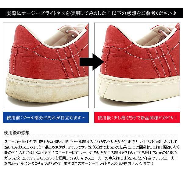 O.GEE BRIGHTNESS SNEAKER CLEANER シューズケア 汚れ落とし オージーブライトネス スプレータイプ スニーカー 靴 クリーナー 100mL 航空便不可｜mischief｜04