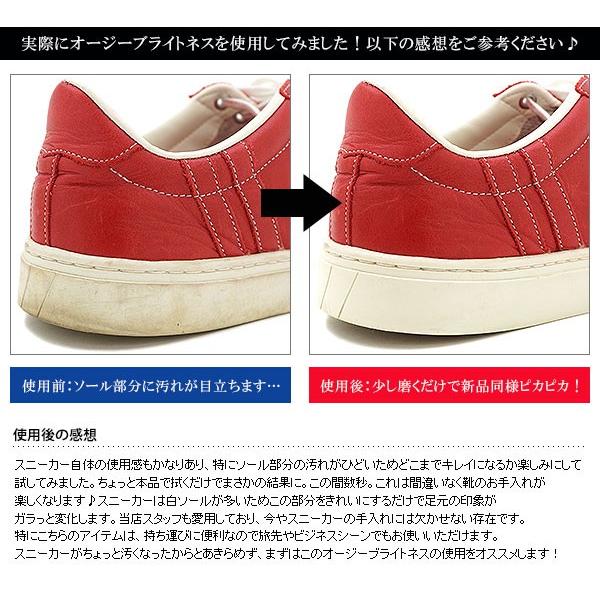 送料無料 12パックセット オージーブライトネス O.GEE.BRIGHTNESS スニーカー クリーナーウェットティッシュタイプ WIPE EZ&2GO OGB-002 正規取扱店