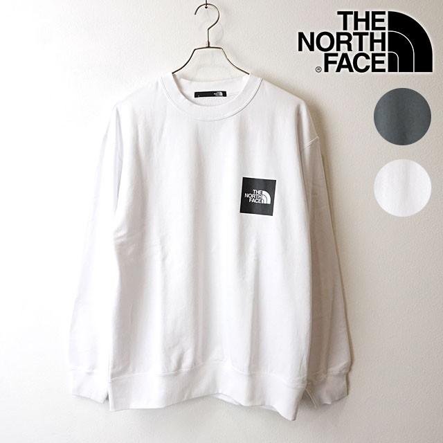 THE NORTH FACE（ザ ノースフェイス） メンズ TNF レイジロング 