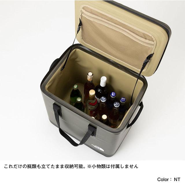 THE NORTH FACE ザ・ノースフェイス フィルデンスクーラー36L