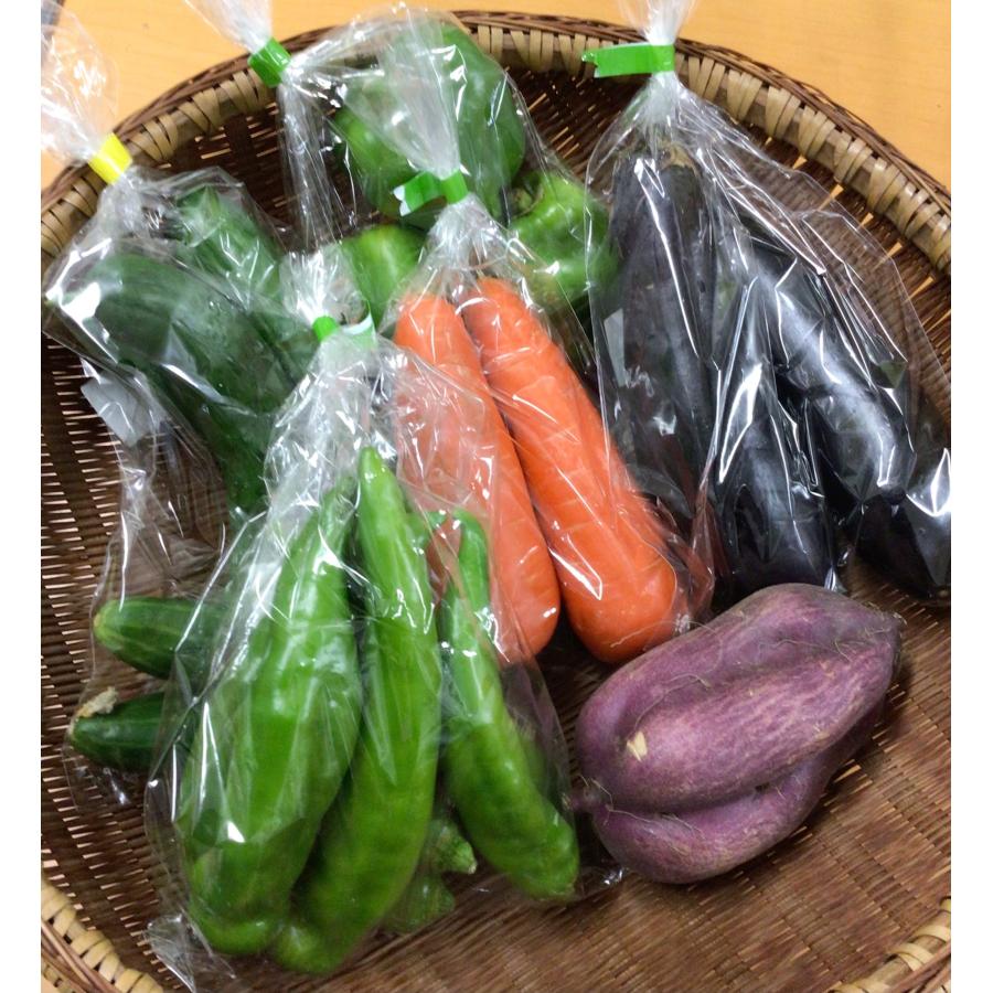 クール便送料無料 約6〜8品目 箱根西麓三島野菜 詰め合わせセット