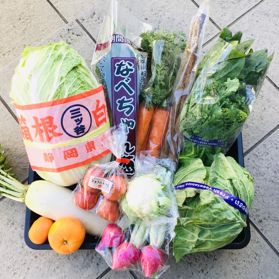 クール便送料無料 約10〜13品目 箱根西麓三島野菜 詰め合わせ（北海道