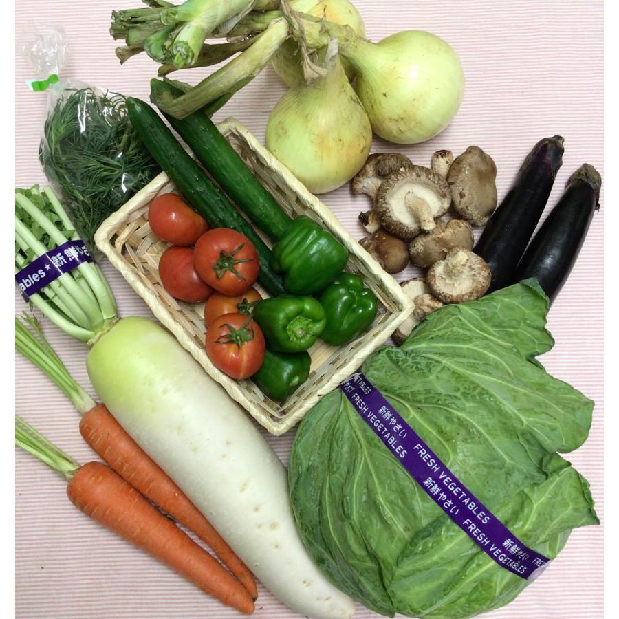 クール便送料無料 約10〜13品目 箱根西麓三島野菜 詰め合わせ（北海道