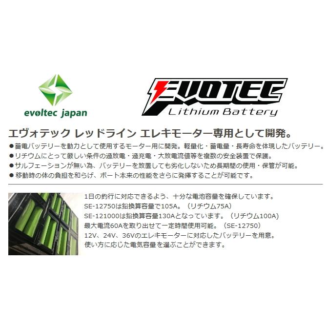 エヴォルテック SE-12750 リチウムイオンバッテリー 2台セットメーカー正規修理済／直列24V可／純正充電器・ケース付 エヴォルテック SE-12750 リチウムイオンバッテリー 2台セットメーカー