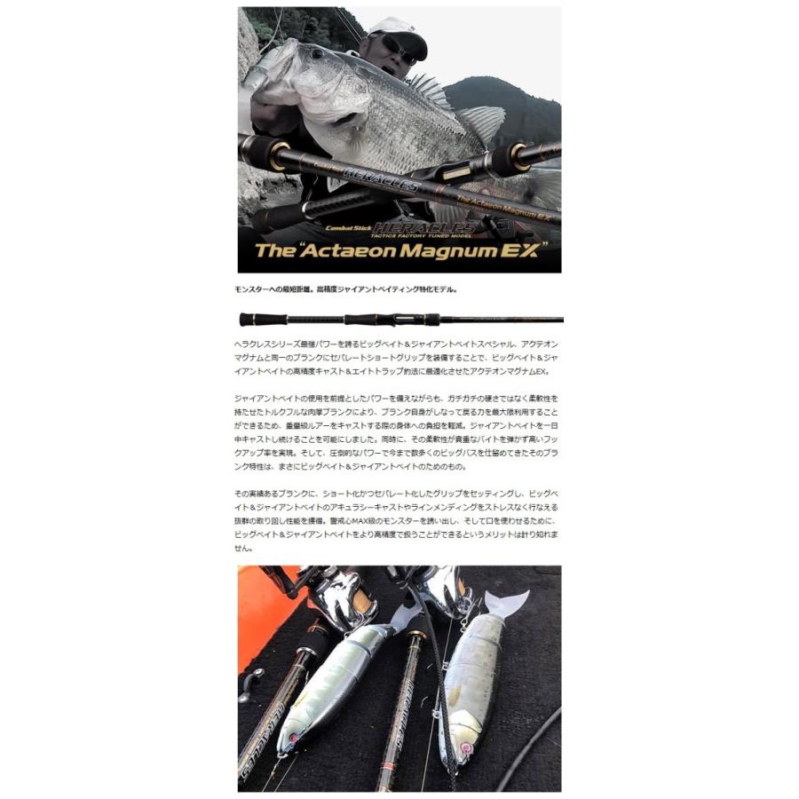 爆売り エバーグリーン アクテオンマグナムex Hcsc 79xx 正規品 Blog Lonolife Com