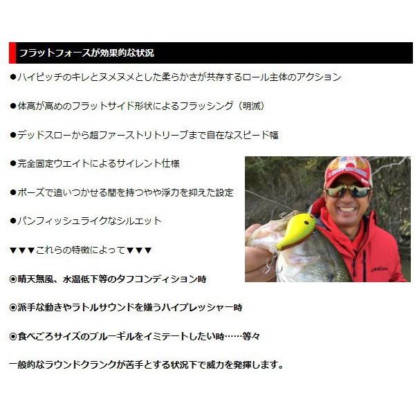 モード（EverGreen） エバーグリーン モード フラットフォース