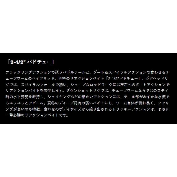 NORIES（ノリーズ） 2-1/2インチパドチュー : ミシマつり具店