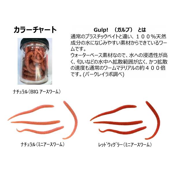 Berkley（バークレイ） ガルプ！ビッグアースワーム6インチ : ミシマ