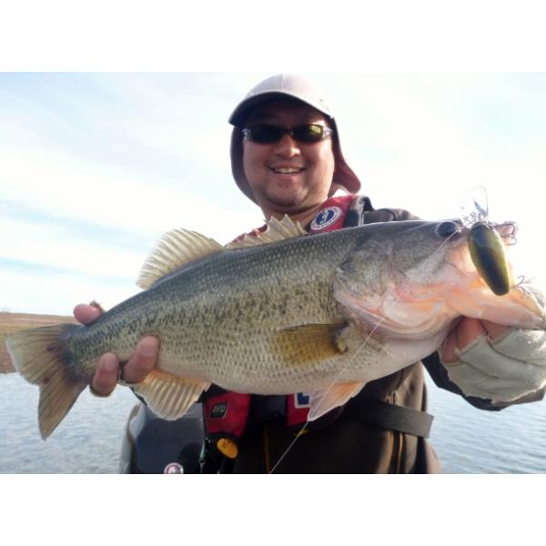 ●新品8個セット●テッケル ドランカー●カラー4種✕各2個●teckel 全19色】テッケル ホンカー Teckel HONKER - 【バス・トラウト・ソルト