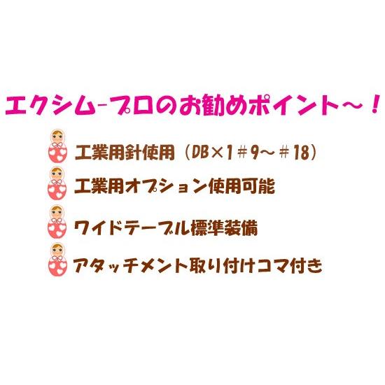 ベビーロック 職業用ミシン EP9600 Excim-pro (エクシム-プロ) 針と