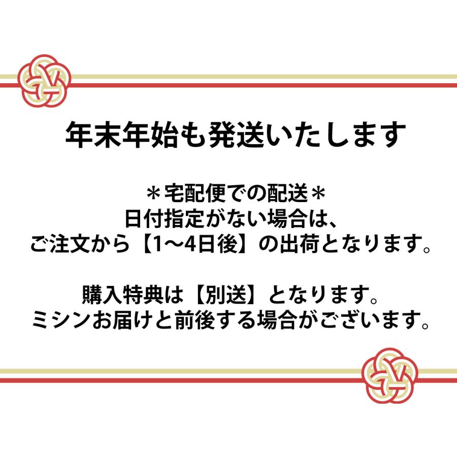 ブラザー工業 ミシン 初心者 簡単 本体 ブラザー OLIVIA500 オリビア