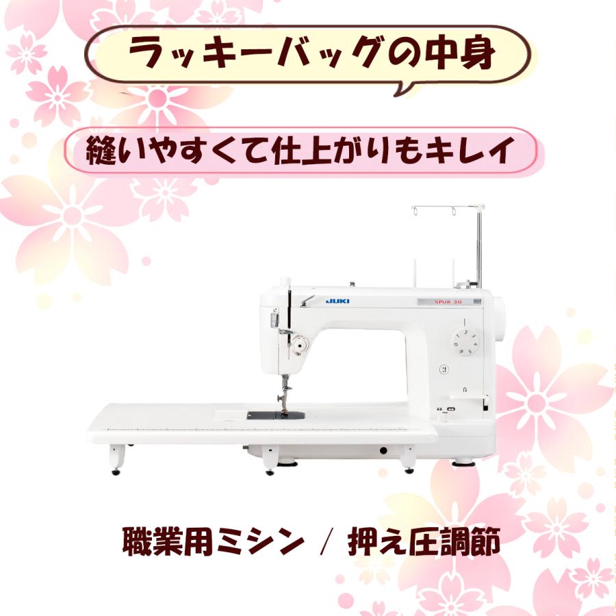 JUKI 【ラッキーバッグ】JUKI 職業用ミシン SPUR30 シュプール30 TL-30 