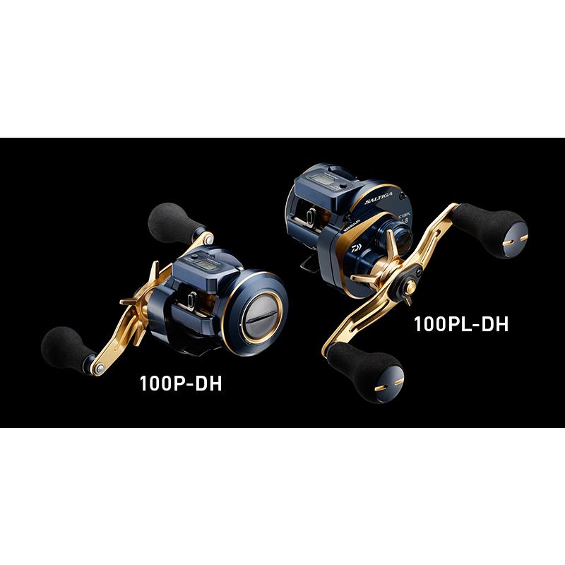 ダイワ ソルティガ SALTIGA IC 100P-DH :4550133034664:MIshop - 通販