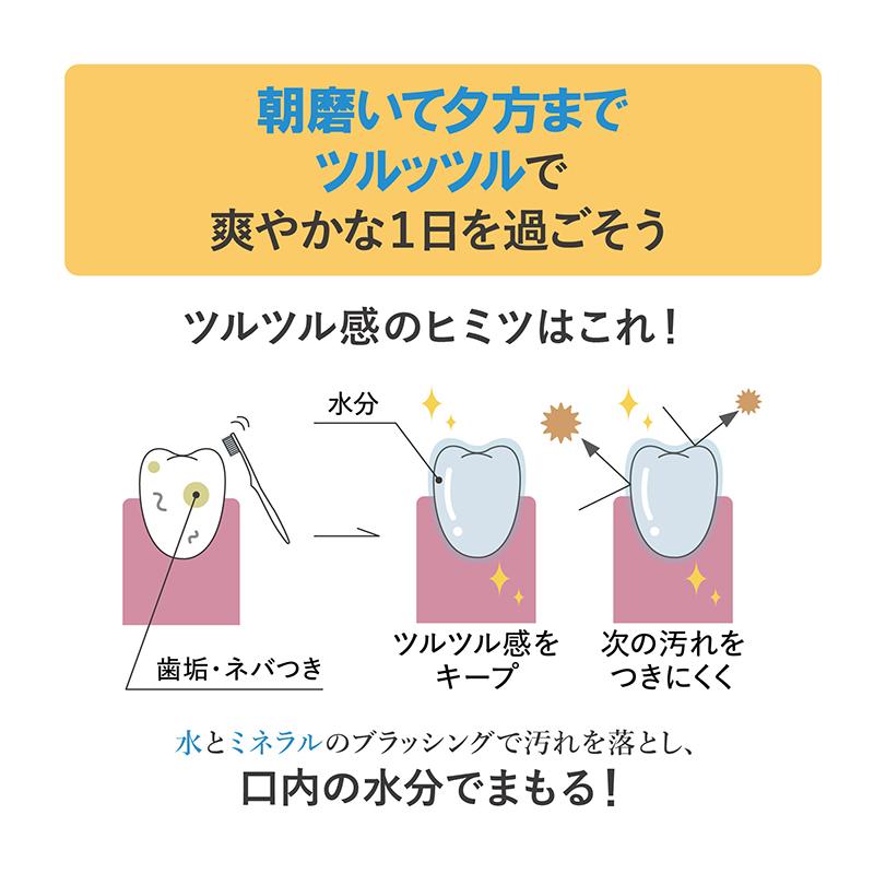 MISOKA 基本の歯ブラシ 朱色｜misoka｜16