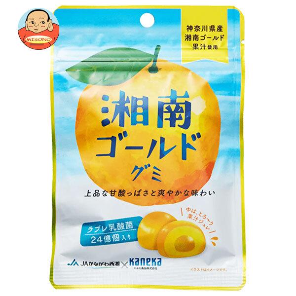 カネカ食品 湘南ゴールドグミ ラブレ乳酸菌入 40g×10袋入｜ 送料別（Yahoo!・味園サポート ヤフー店）