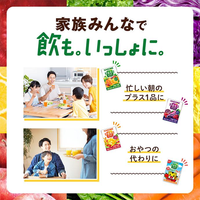 野菜生活100 カゴメ オリジナル 100ml紙パック×30本入｜ 送料別 : 味園