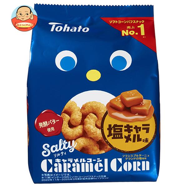 東ハト ソルティ キャラメルコーン 67g×12袋入 メーカー 問屋直送