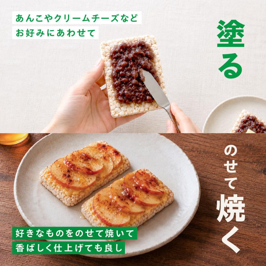 TASTEGARDEN ピュア ブラウン ライスケーキ 玄米ライスケーキ 15枚×1袋入｜ 送料別 テイストガーデン |  | 10