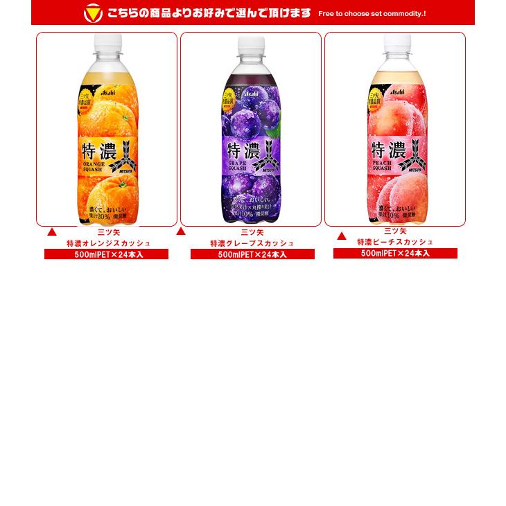 三ツ矢 送料無料 アサヒ飲料 特濃シリーズ 選べる2ケースセット 500ml