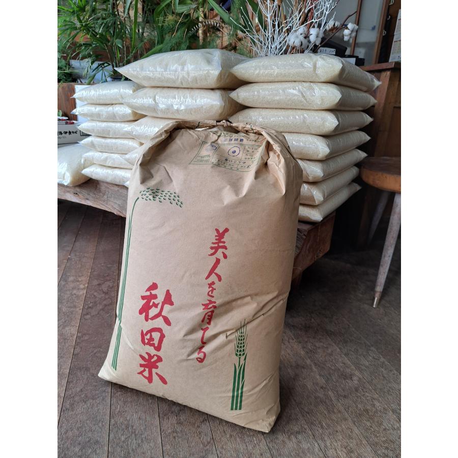 めんこいな ＜完売しました＞ 政府備蓄米 令和3年産 秋田県産めんこい