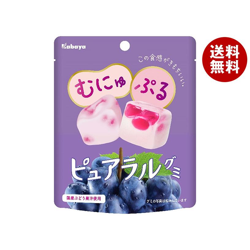 Kabaya カバヤ ピュアラルグミ ぶどう 58g×8個入×(2ケース)｜ 送料無料