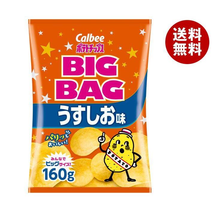 カルビー（Calbee） BIG BAG ポテトチップス うすしお味 160g×12袋入