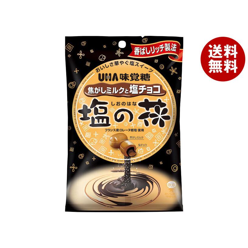 UHA味覚糖 塩の花 焦がしミルクと塩チョコ 71g×6袋入×(2ケース)｜ 送料