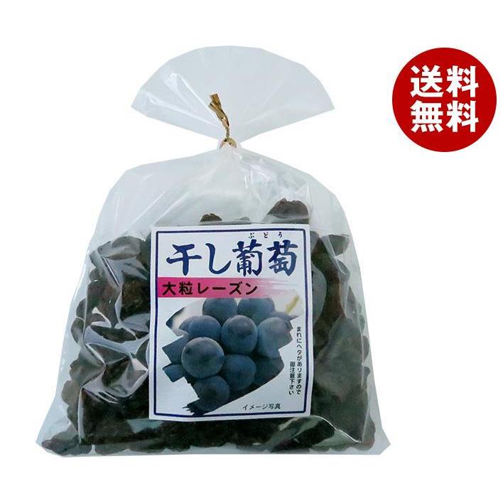 ◆セール特価品◆ ナガトク 都内で 干し葡萄 大粒レーズン 送料無料 430g×5袋入