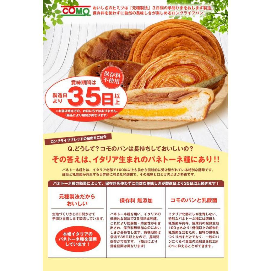 新商品 2ケース 送料無料 12個セット× 2ケースセット 天然酵母パン