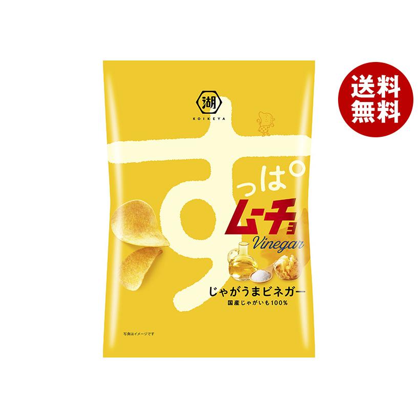 湖池屋（コイケヤ） すっぱムーチョチップス じゃがうまビネガー 55g