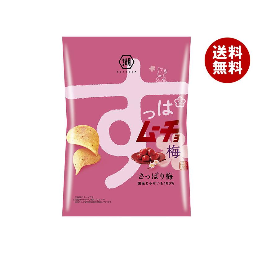 木製 すっぱむ 湖池屋（コイケヤ） すっぱムーチョチップス さっぱり梅 55g×12個入
