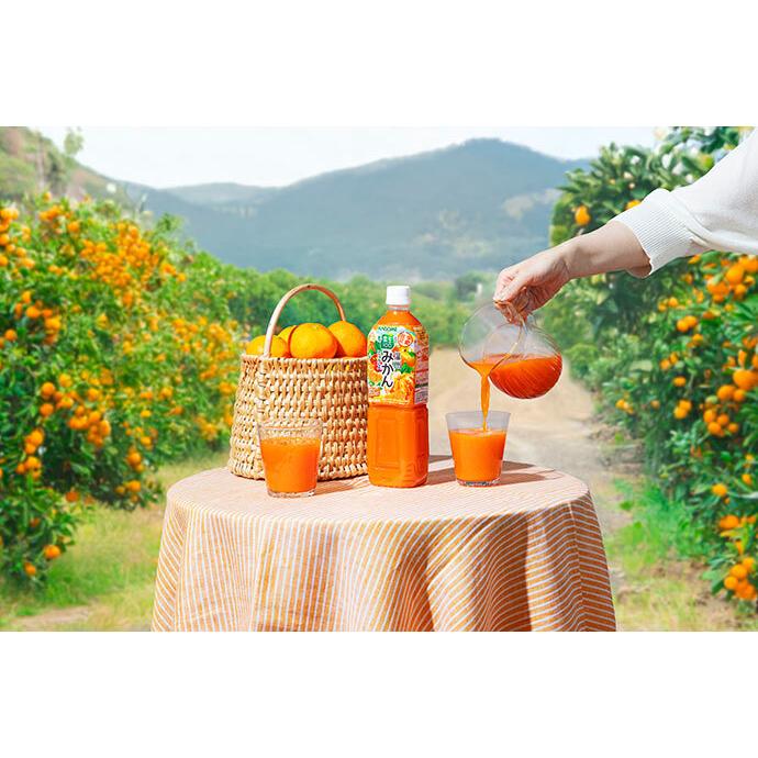 新品未使用 カゴメ野菜ジュース 粒より野菜 ２箱 カゴメのつぶより野菜 2箱