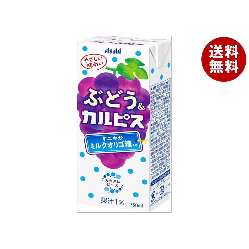 カルピス アサヒ飲料 ぶどう&カルピス 250ml紙パック×24本入｜ 送料