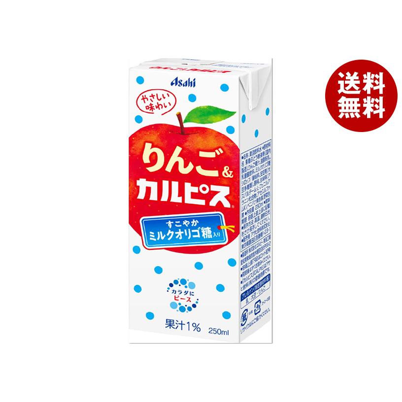カルピス アサヒ飲料 りんご&カルピス 250ml紙パック×24本入×(2ケース