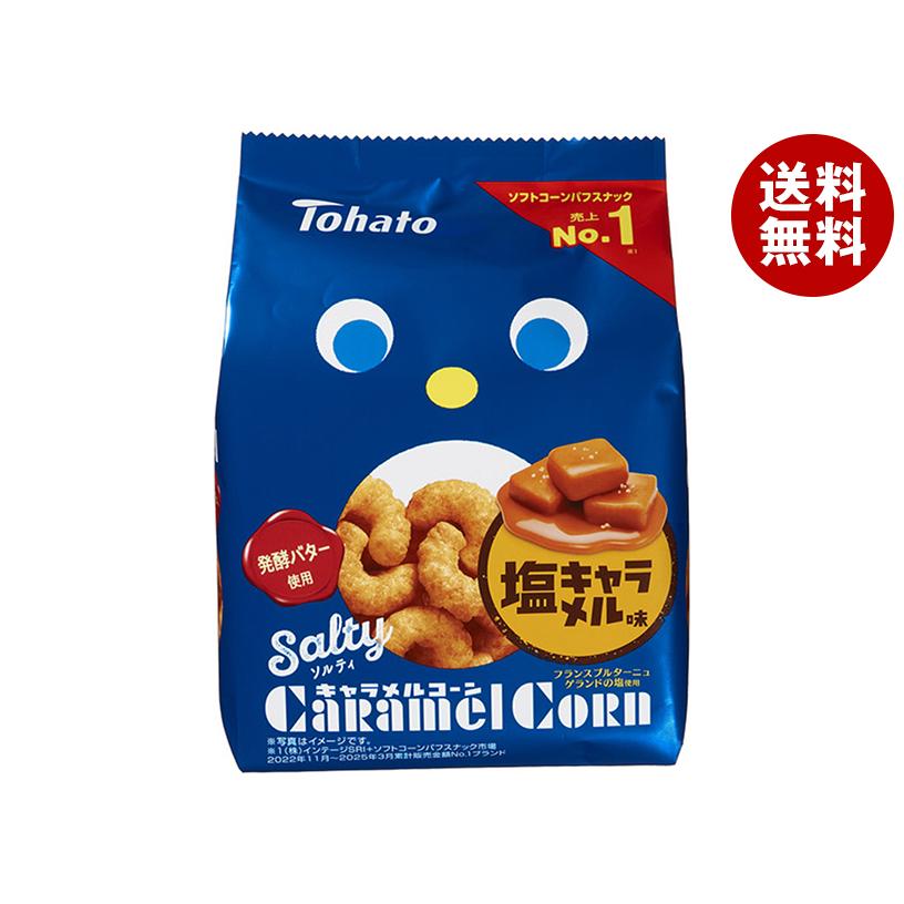 東ハト ソルティ キャラメルコーン 67g×12袋入 メーカー 問屋直送