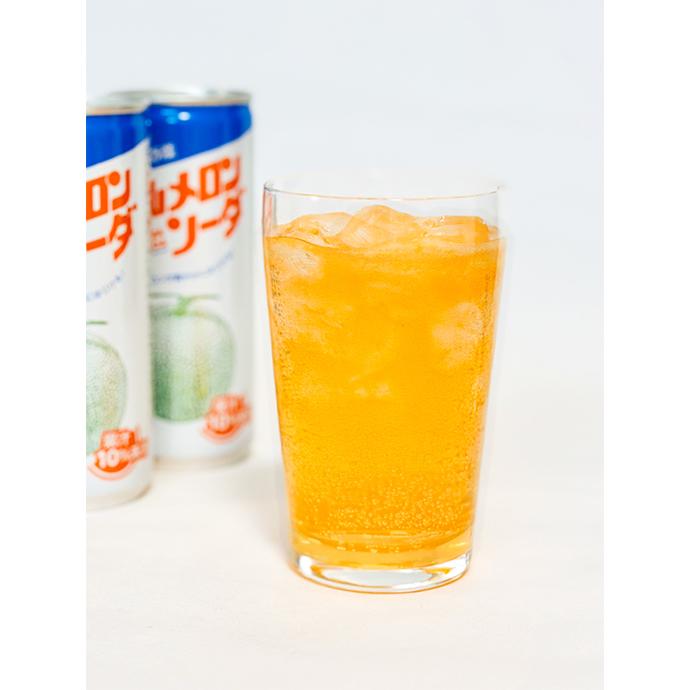 メロンソーダ 谷口農場 中山メロンソーダ 250ml缶×30本入｜ 送料無料 : MISONOYA