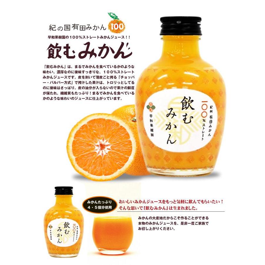 早和果樹園 飲むみかん 180ml瓶×30本入｜ 送料無料 100％ ストレート 瓶 オレンジ みかん 100% 果汁 ジュース｜misonoya｜02