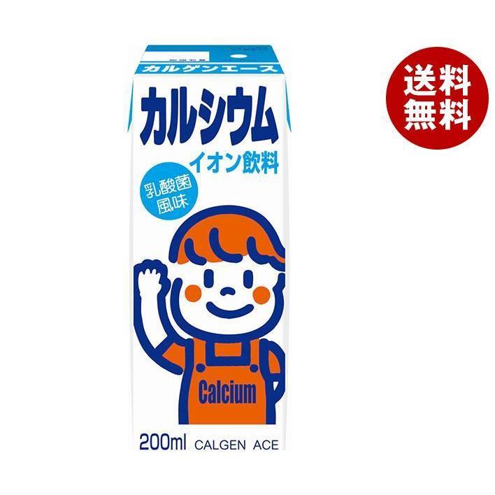 カルゲン製薬 カルゲンエース 200ml紙パック&times;24本入&times;(2ケース)｜ 送料無料 栄養 カルシウムイオン飲料 紙パック