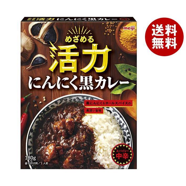 Meiji Seika ファルマ 明治製菓 めざめる活力 にんにく黒カレー 180g