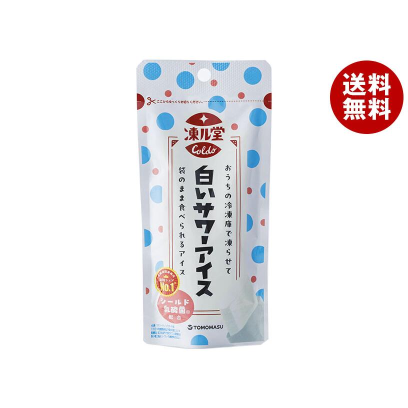 友桝飲料 ＼爆買／友桝飲料 凍ル堂 白いサワーアイス 80gパウチ×36本入