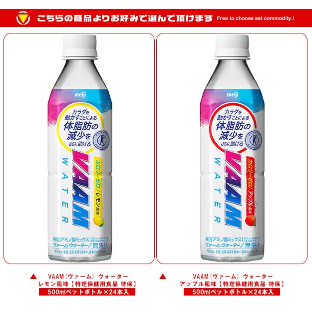VAAM 明治 (ヴァーム)ウォーター 選べる2ケースセット 500mlペット