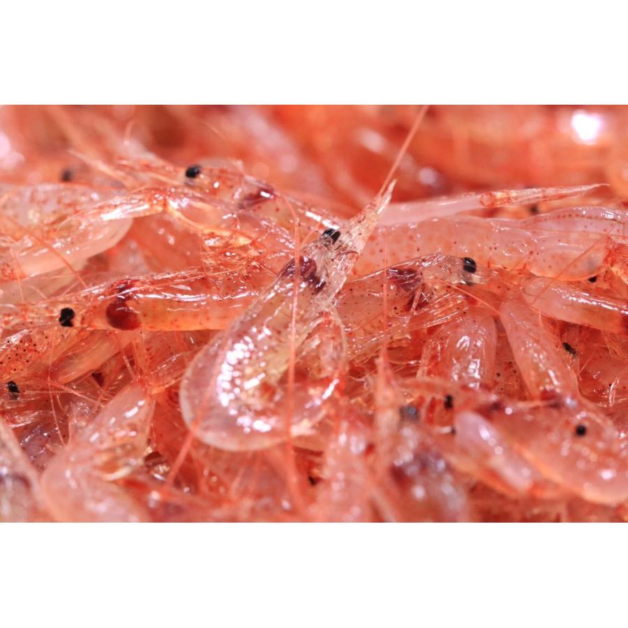 桜えび 伊勢えび味噌 保存料 着色料 化学調味料不使用 関西テレビ よーいドン でおなじみ ご飯のお供部門第１位 Ztk143qr8y ナチュラルキッチン 味噌屋仲太郎 通販 Yahoo ショッピング