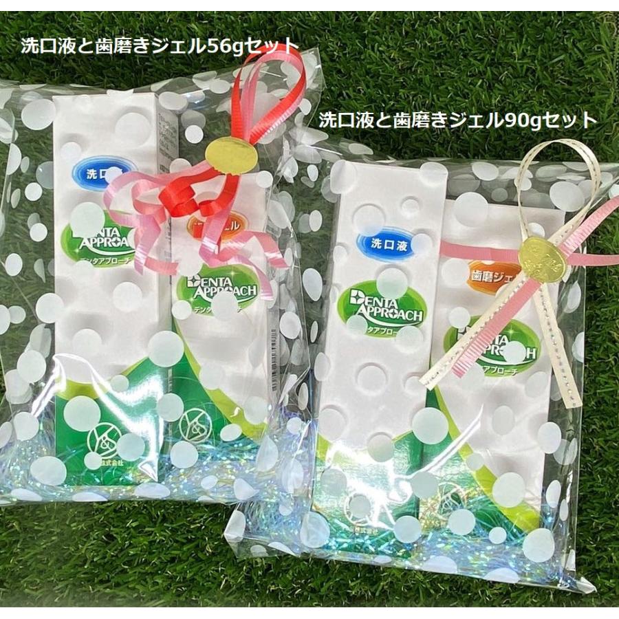 ギフト プレゼントにも 歯周病予防 デンタアプローチ洗口液と歯磨