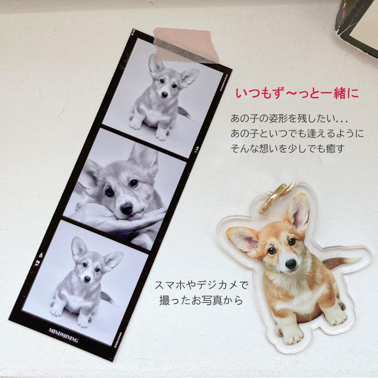 お好きなお写真で作れるオリジナル アクリル キーホルダー 子供 愛犬