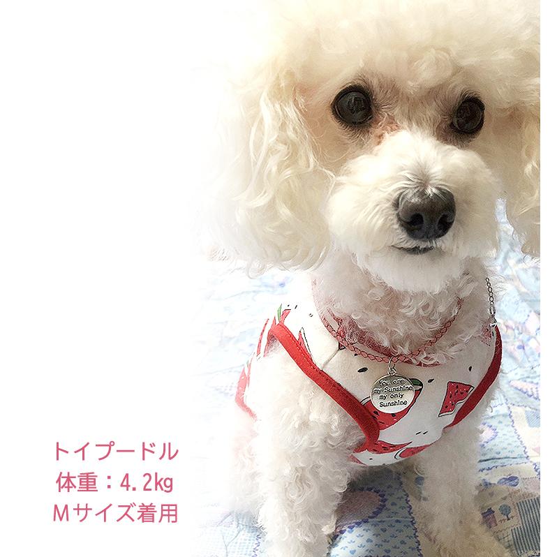 オーダーメイド 首輪 犬 おしゃれ 中型犬 小型犬 本革 かわいい 犬首輪 犬の首輪 猫用首輪 ペット ネックレス 手作り Pet Micmic By Victoria 通販 Yahoo ショッピング
