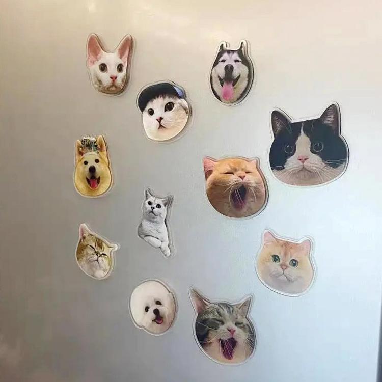 オーダーメイド アクリルマグネット メモリアルグッズ ペット