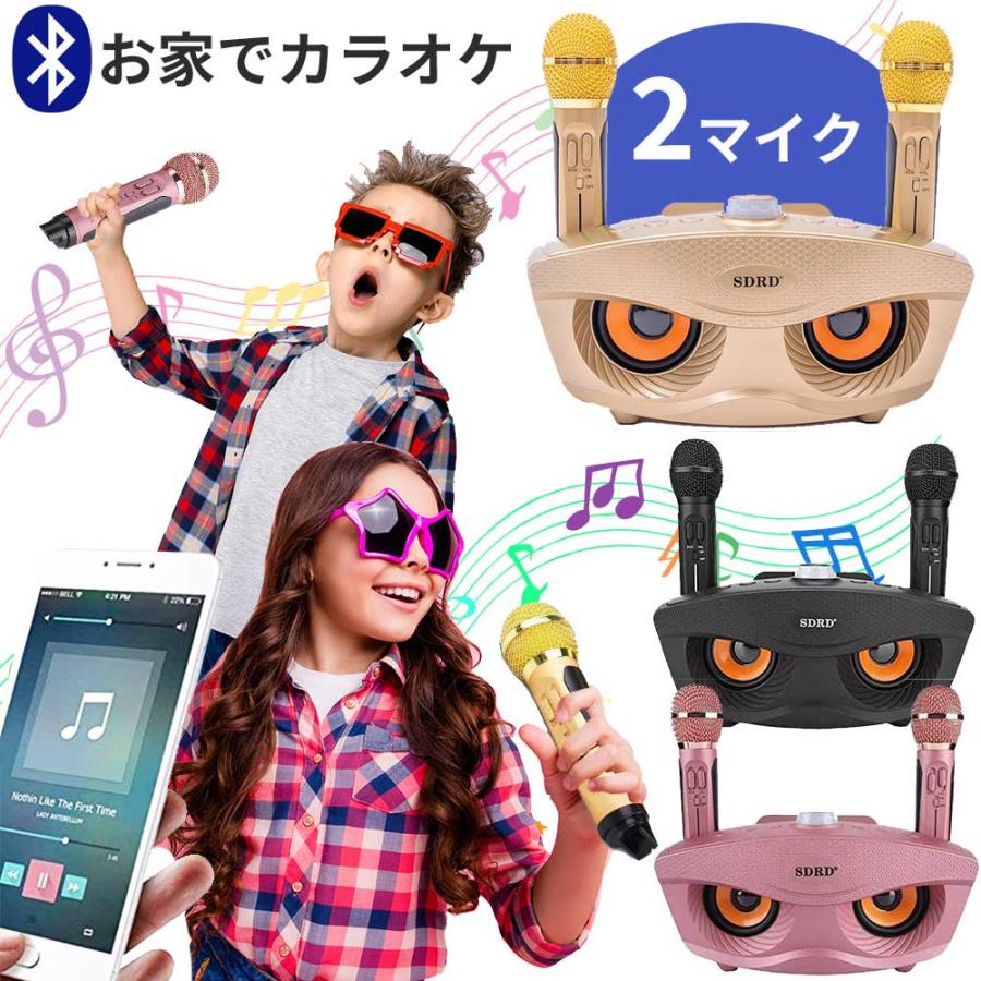 SDRD カラオケ Bluetooth マイク2本 カラオケマイク 家庭用 SDRD カラオケ Bluetooth マイク2本 カラオケマイク 家庭用