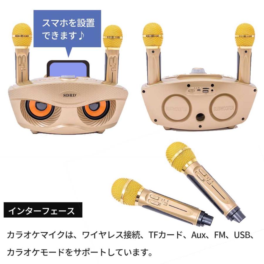 SDRD カラオケ Bluetooth マイク2本 カラオケマイク 家庭用 SDRD カラオケ Bluetooth マイク2本 カラオケマイク 家庭用