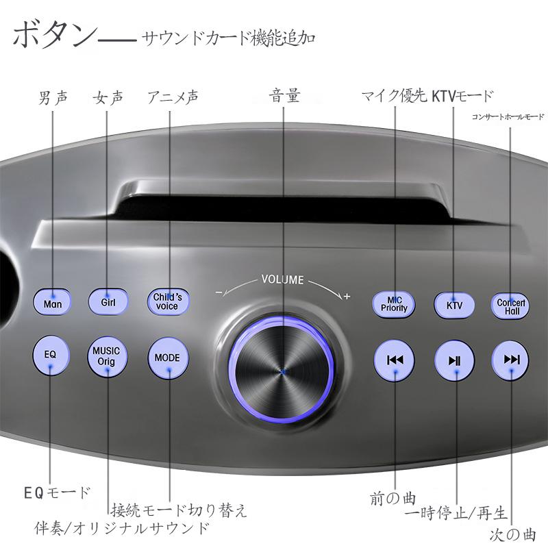 第二世代アップグレード版 カラオケ マイク SDRD 306PLUS